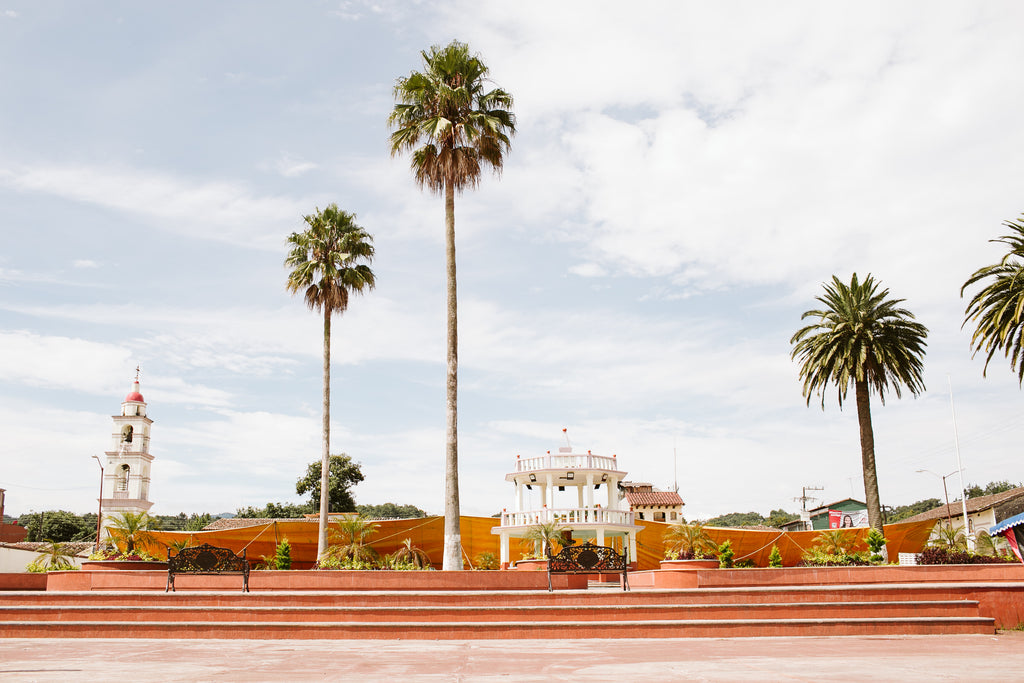 Te transportamos a Hueyapan, Puebla.